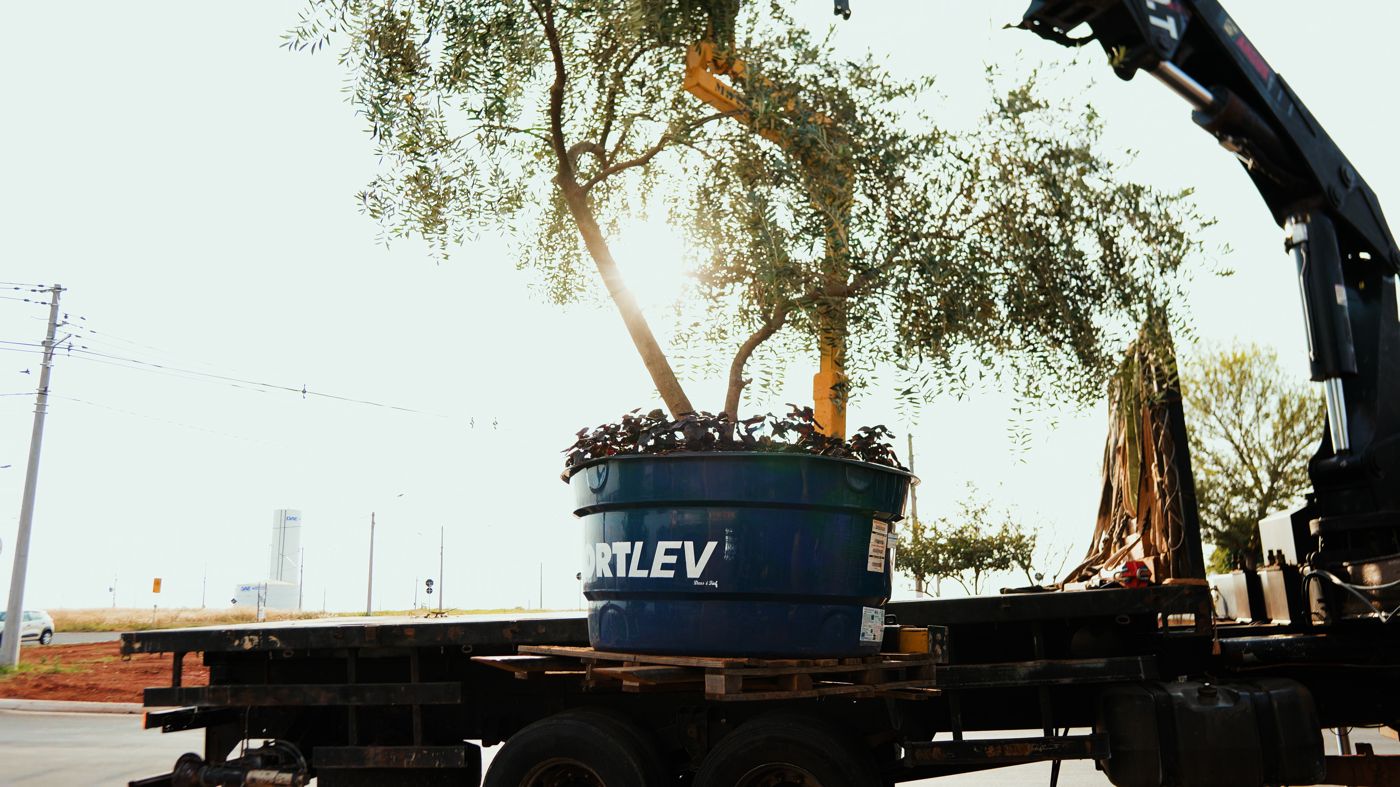 Transporte de carga volumosa